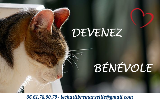 FAIRE DU BÉNÉVOLAT