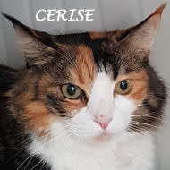 CERISE