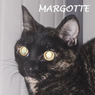 MARGOTTE