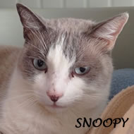 SNOOPY