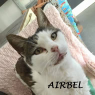 AIRBEL