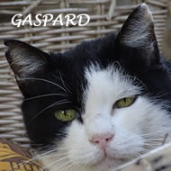 GASPARD