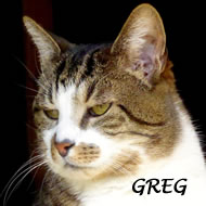 GREG