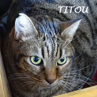 TITOU