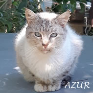 AZUR