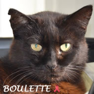 BOULETTE