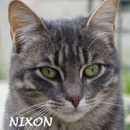 NIXON