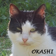 OKASHI