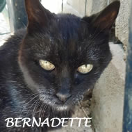 BERNADETTE