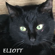 ELIOTT