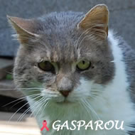GASPAROU