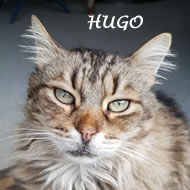 HUGO