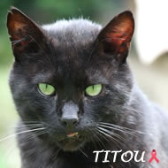 TITOU