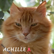 ACHILLE