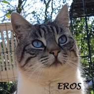 EROS