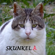 SKUNKEL