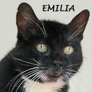 EMILIA