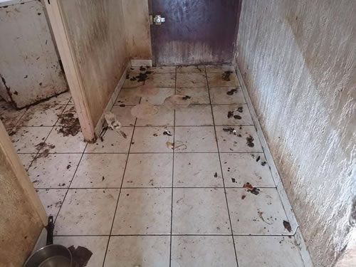 Appartement Marseillais